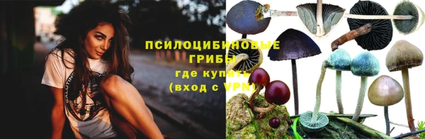 скорость Алексеевка